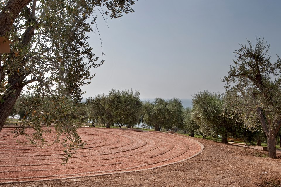 labirintodegliulivi